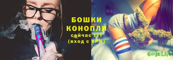 индика Белоозёрский
