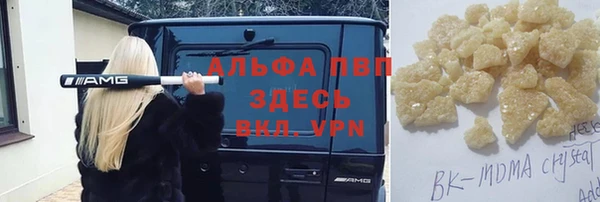 индика Белоозёрский